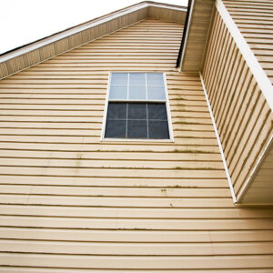 Siding Repair