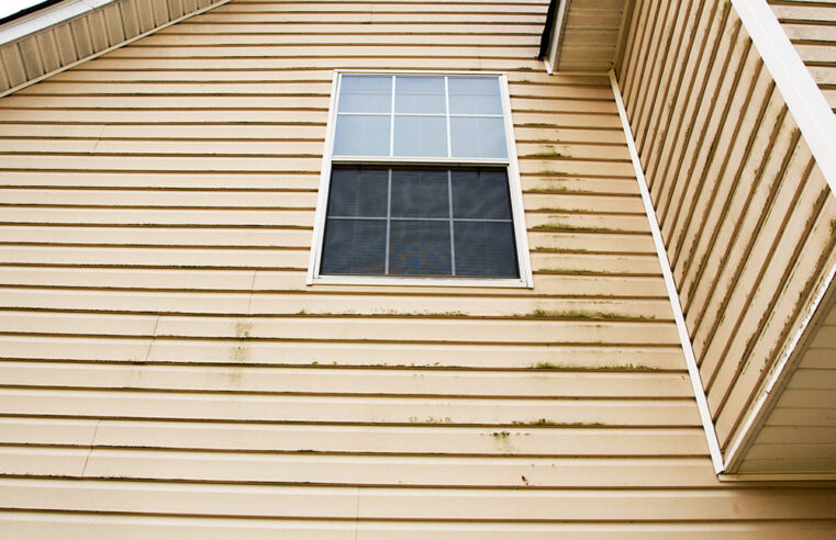 Siding Repair: Why You Need to Have Your Siding Repaired